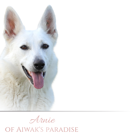 Arnie